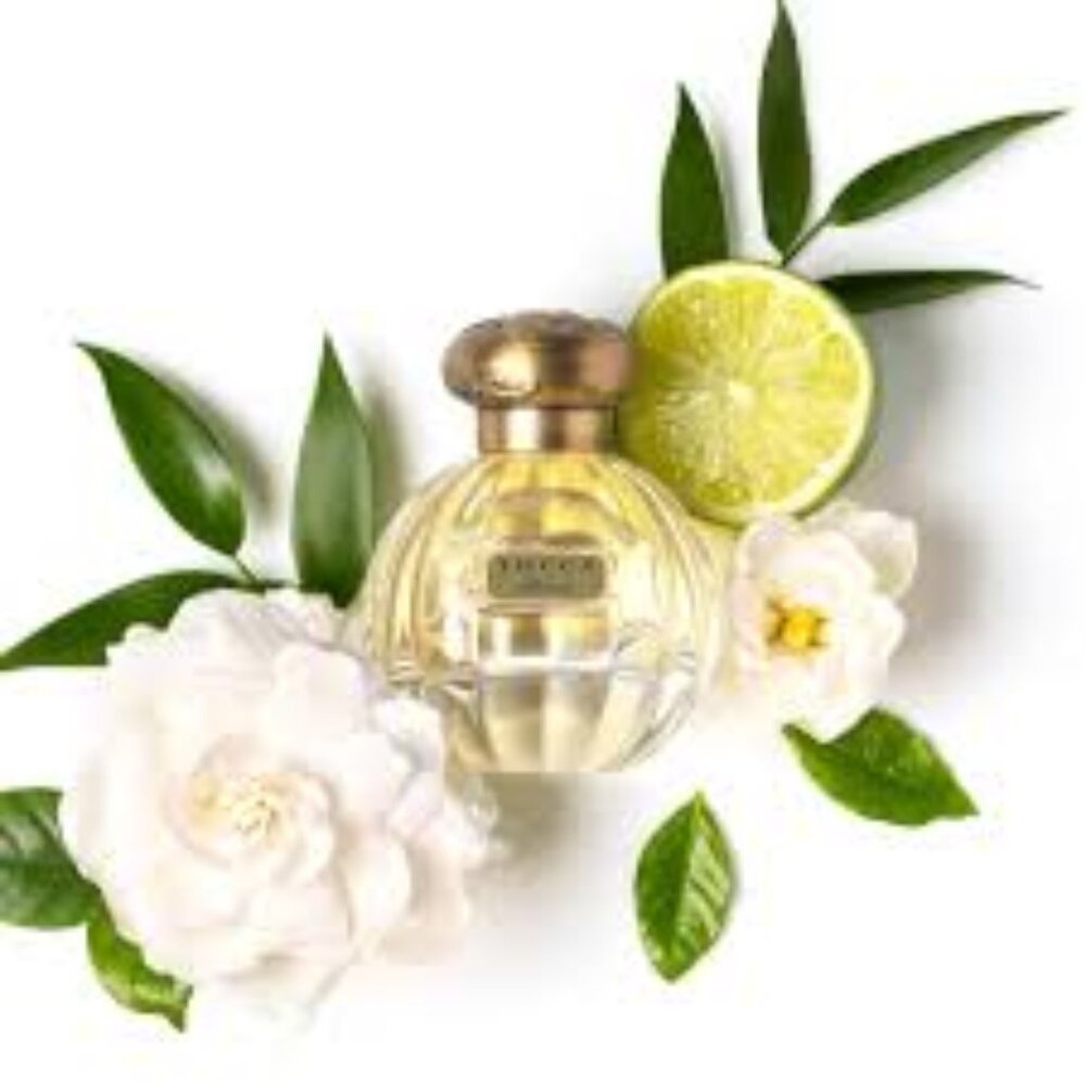 Tocca Florence EDP Classic Floral Bergamot Pear-Mini Roller 3ml,0.1oz-BOXED-NEW - Picture 5 of 13